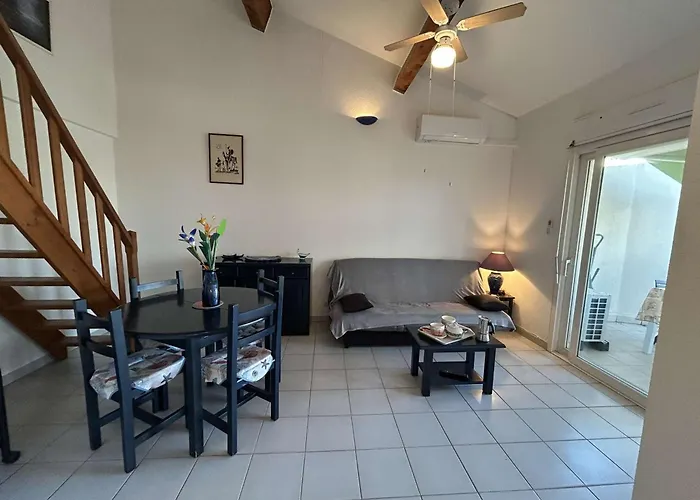 Appartement Appt 2 Pieces Avec Climatisation Et Parking, Vue Sur - Port Camargue - Fr-1-250-299 *