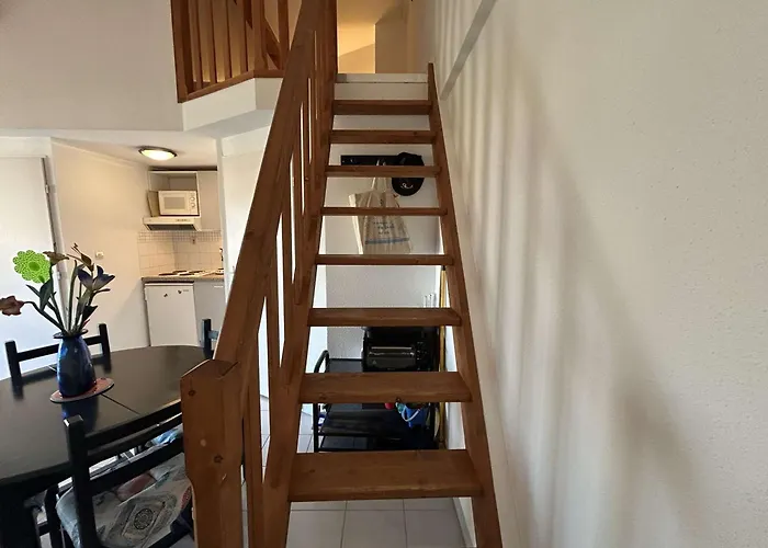 Appt 2 Pieces Avec Climatisation Et Parking, Vue Sur - Port Camargue - Fr-1-250-299