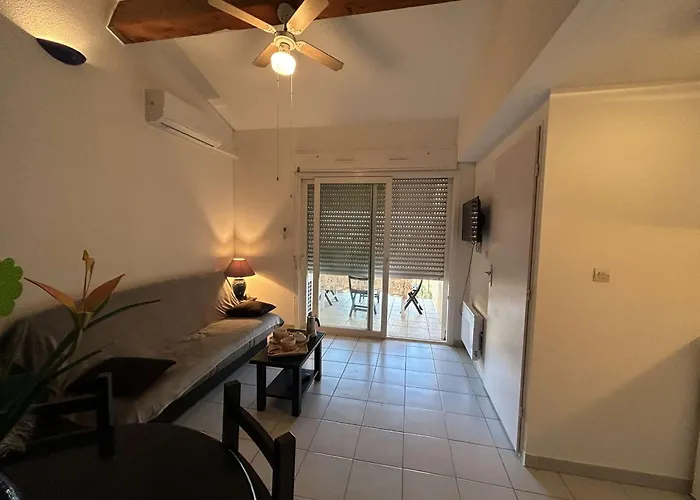 Appartement Appt 2 Pieces Avec Climatisation Et Parking, Vue Sur - Port Camargue - Fr-1-250-299 *