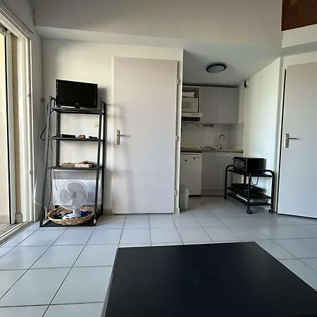 Appt 2 Pieces Avec Climatisation Et Parking, Vue Sur - Port Camargue - Fr-1-250-299 *
