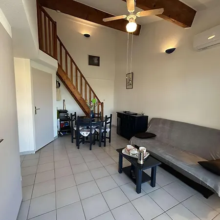 شقة Appt 2 Pieces Avec Climatisation Et Parking, Vue Sur - Port Camargue - Fr-1-250-299