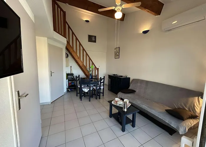 公寓 Appt 2 Pieces Avec Climatisation Et Parking, Vue Sur - Port Camargue - Fr-1-250-299