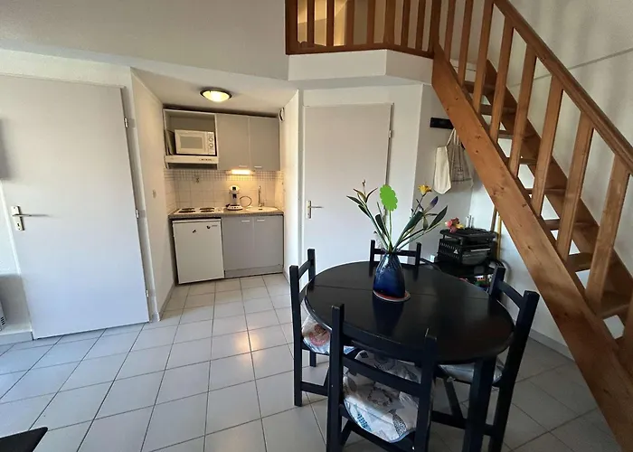 Appt 2 Pieces Avec Climatisation Et Parking, Vue Sur - Port Camargue - Fr-1-250-299 *